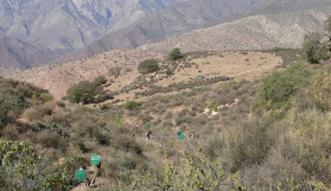 Séjour de chasse Maroc - Orchape