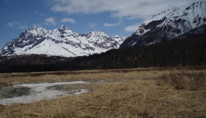 Séjour de chasse Alaska - Orchape