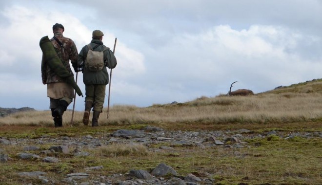 Séjour de chasse Ecosse - Orchape