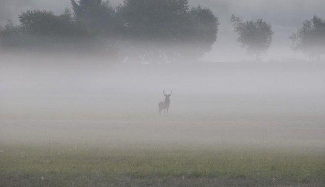 Séjour de chasse Pologne - Orchape