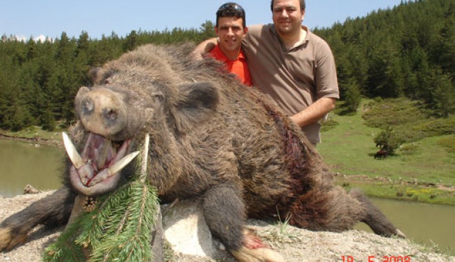 Séjour de chasse Turquie - Orchape