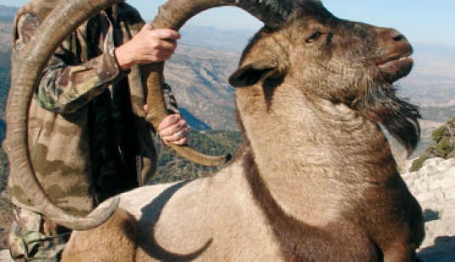 Séjour de chasse Turquie - Orchape