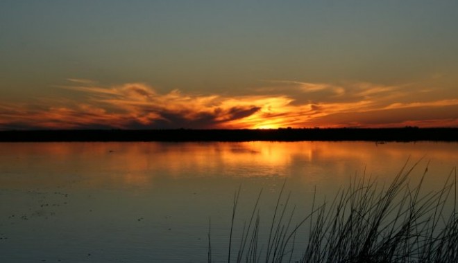 Séjour de chasse Argentine - Esprit Migrateur