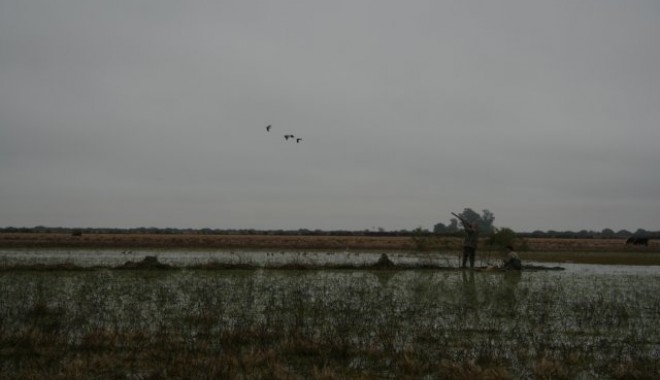 Séjour de chasse Argentine - Esprit Migrateur