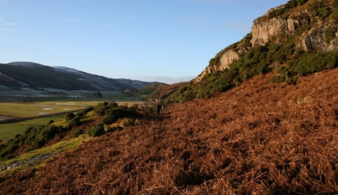 Séjour de chasse Ecosse - Esprit Migrateur