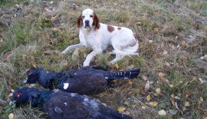 Séjour de chasse Chasse en Laponie