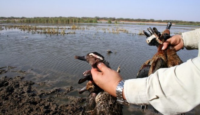 Séjour de chasse Campement du Ferlo