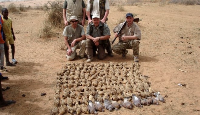 Séjour de chasse Campement du Ferlo