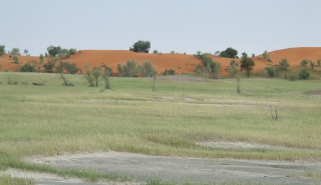 Séjour de chasse LC Voyages - Mauritanie