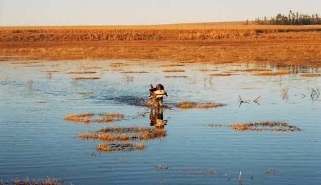 Séjour de chasse LC Voyages - Afrique du Sud