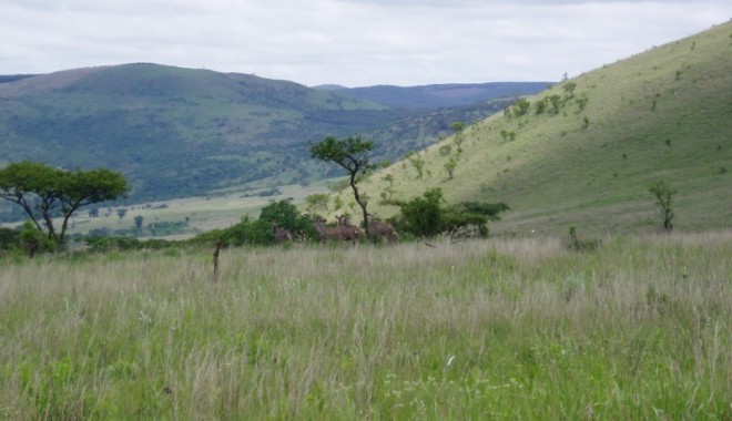 Séjour de chasse LC Voyages - Afrique du Sud