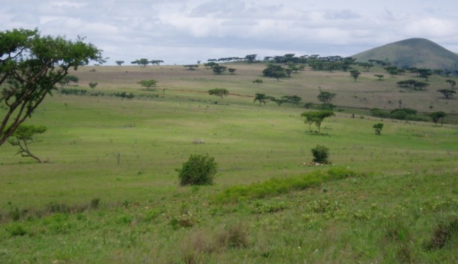 Séjour de chasse LC Voyages - Afrique du Sud