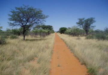 LC Voyages - Namibie