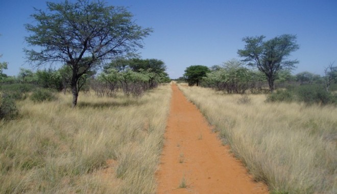 Séjour de chasse LC Voyages - Namibie