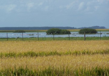 LC Voyages - Uruguay