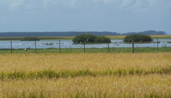 Séjour de chasse LC Voyages - Uruguay