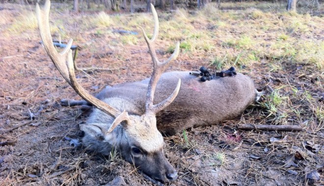 Séjour de chasse Domaine de Baconnes