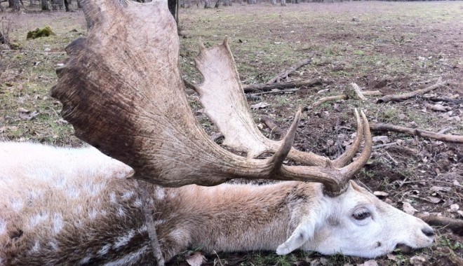 Séjour de chasse Domaine de Baconnes