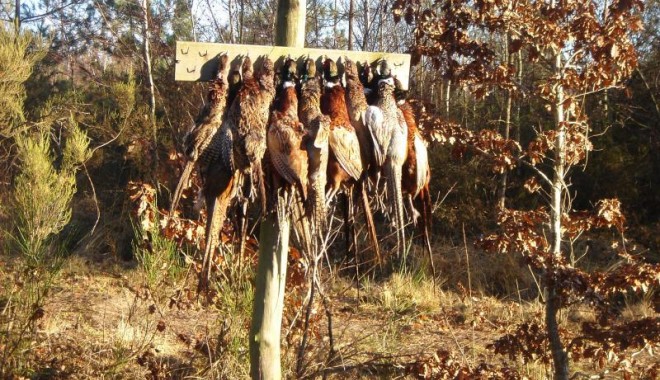 Séjour de chasse Chasse de la Maisonnette