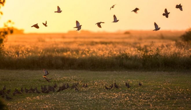 Séjour de chasse El Paraiso Lodge