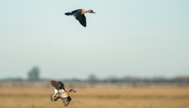 Séjour de chasse Veracruz Lodge