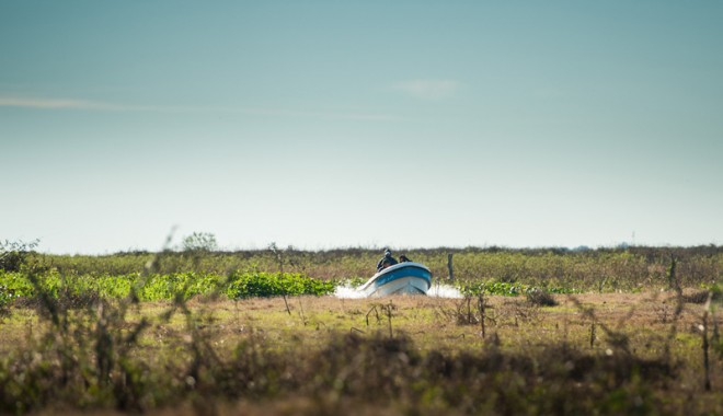 Séjour de chasse Veracruz Lodge