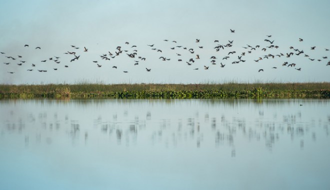 Séjour de chasse Veracruz Lodge