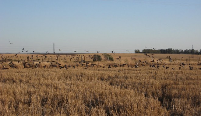 Séjour de chasse Rincon De Los Matreros - Uruguay