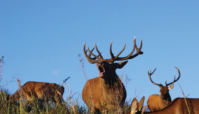 Séjour de chasse Rincon De Los Matreros - Uruguay