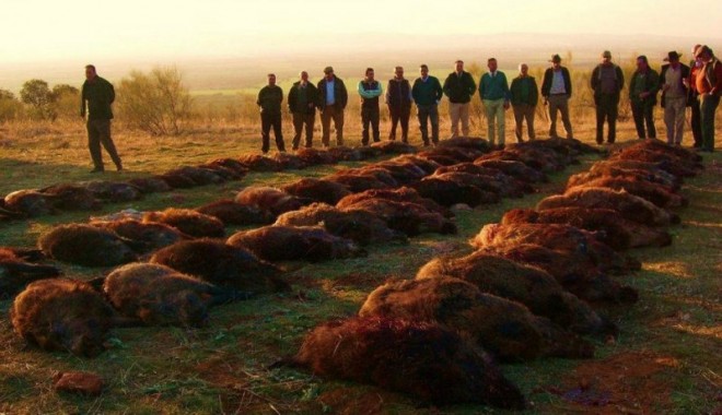 Séjour de chasse Las Coladas - Montérias en Espagne