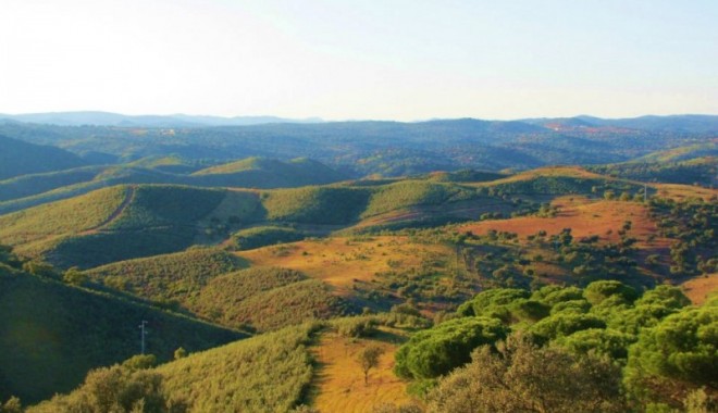 Séjour de chasse Las Coladas - Montérias en Espagne