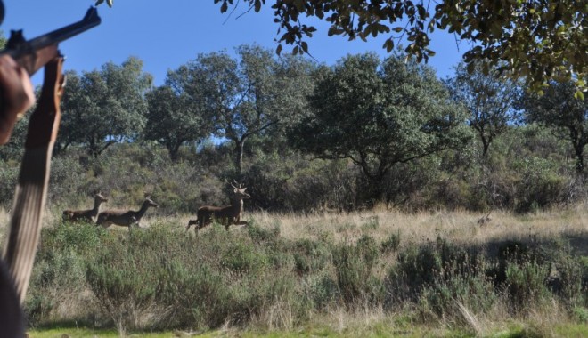 Séjour de chasse Las Coladas - Montérias en Espagne