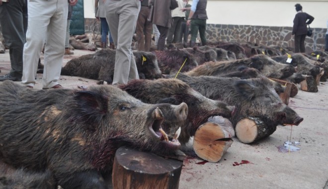 Séjour de chasse Las Coladas - Montérias en Espagne