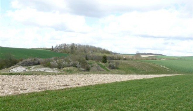 Séjour de chasse Domaine de Montplaisir