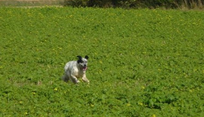 Séjour de chasse Domaine de Montplaisir