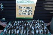 Domaine des landes de peyrere