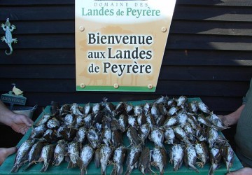 Domaine des landes de peyrere