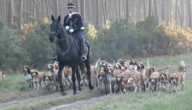 Séjour de chasse Le Faisan Doré