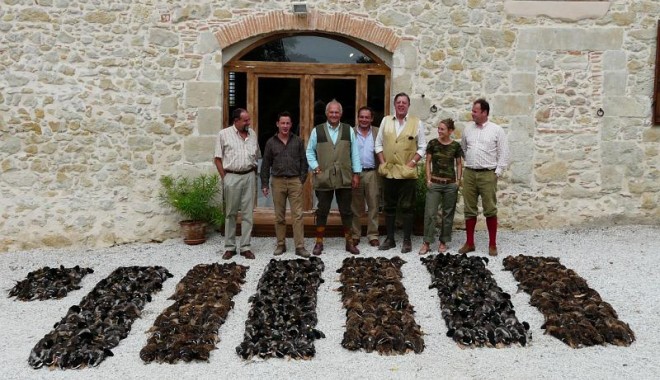 Séjour de chasse Colverts de Sabournac