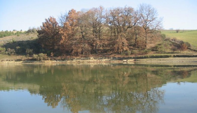 Séjour de chasse Colverts de Sabournac