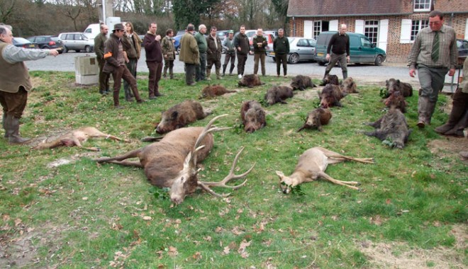 Séjour de chasse Ciel Vent & Nature