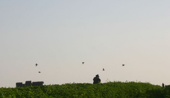 Séjour de chasse Domaine de Mont Banny