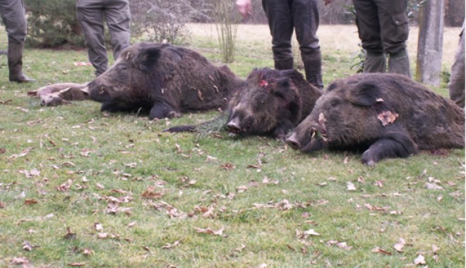 Séjour de chasse Domaine de la Chaise