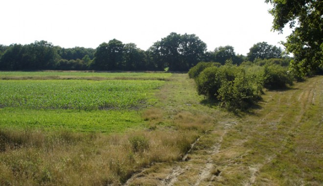 Séjour de chasse Domaine de la Chaise