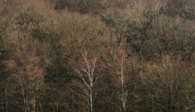 Séjour de chasse Le Bois du Ham