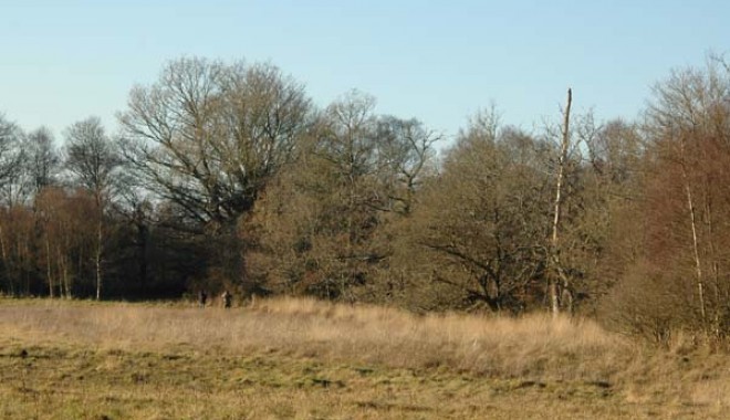 Séjour de chasse Domaine de Klesseven