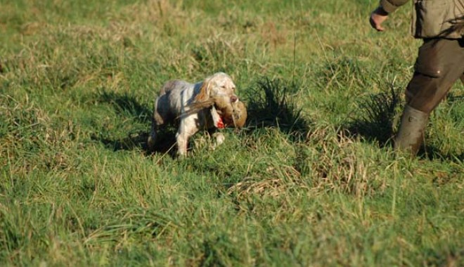 Séjour de chasse Domaine de Klesseven