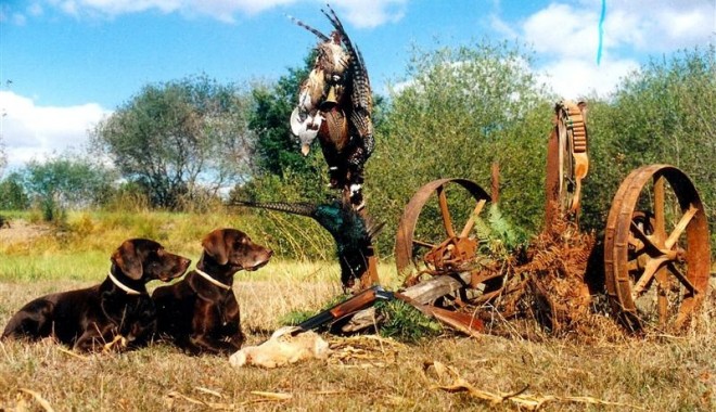 Séjour de chasse La Chasse de Brignon