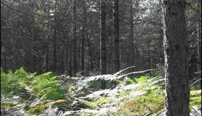 Séjour de chasse La Chasse de Brignon