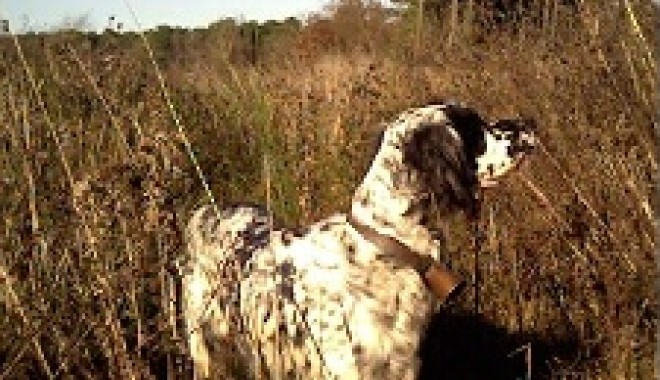 Séjour de chasse La Chasse de Brignon